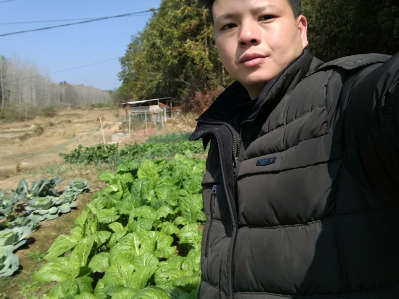 倔强的驴的第一张照片--连江相亲网